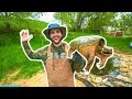 Pet SNAPPING TURTLE Catch Clean Cook!!! (Rip Stan)