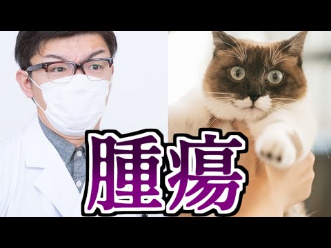 【伝説のコピペ】お腹にしこりがあるので病院に行った結果…【ゆっくり2chまとめ】 #shorts #ゆっくり #2ch #2ちゃんねる #5ch #5ちゃんねる #ソト劇 【伝説のコピペ】お腹にしこりがあるので病院に行った結果…【ゆっくり2chまとめ】 #shorts #ゆっくり #2ch #2ちゃんねる #5ch #5ちゃんねる #ソト劇
