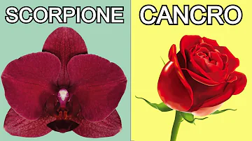 Quale è il fiore del segno dei pesci?