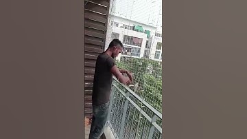 Pigeon Net Serivces Near Me | Bird Net For Balcony | Nylon Anti-Bird Netting at Best Price in India
