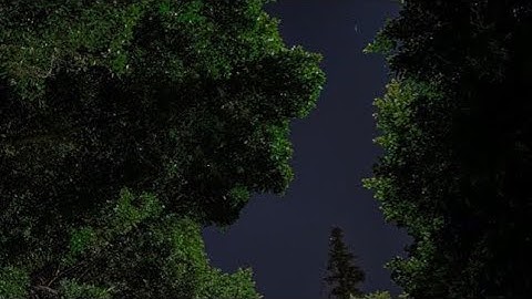 ما تيسر من سورة الكهف بصوت صالح الجعفراوي حفظه الله 🫀