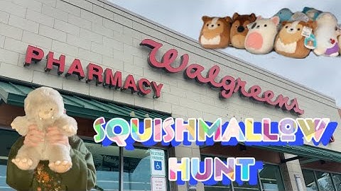 learning express / squish hunt !!