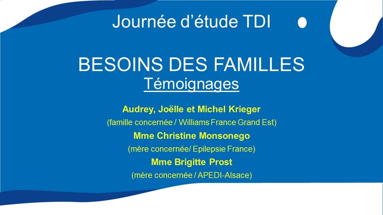 Journée d'étude TDI _ Besoins des familles _ Session témoignages