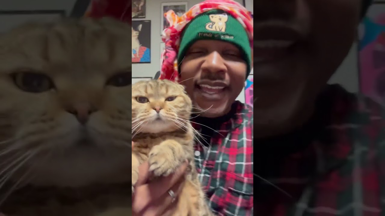 Happy Caturday!!!! #cats #cat #catvideos #rap #caturdayvibes #catfamily #freestyle #rap