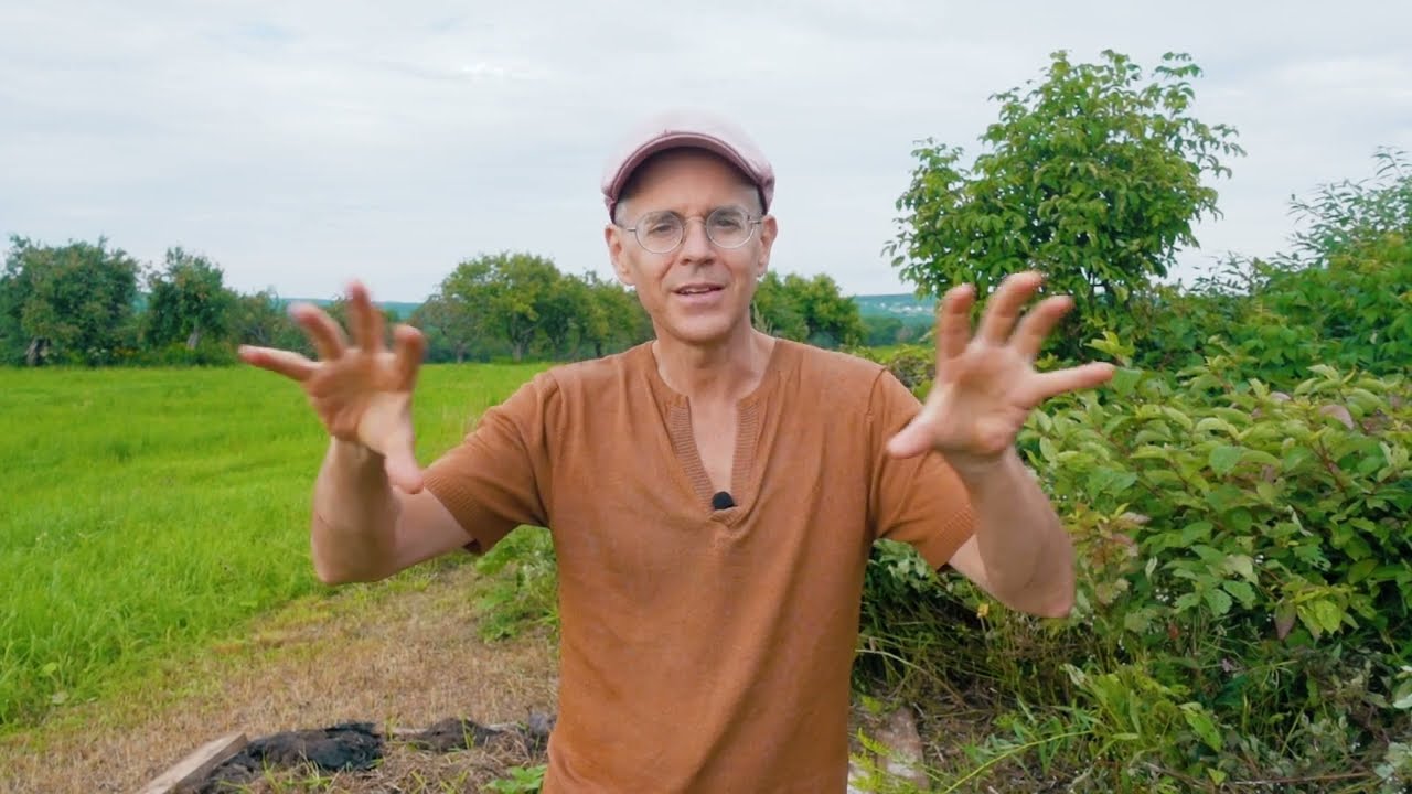 ÉTÉ 2023 - PERMACULTURE AU QUÉBEC | VLOG 23/08/12