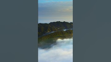 #Shorts Embracing Change Finding Strength in Uncertain Time