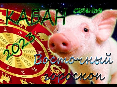 Кабан (свинья) /Восточный гороскоп для Кабана на 2023год.
