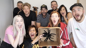 VLOG SQUAD PLAYS WHATS IN THE BOX CHALLENGE!!