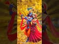 श्री कृष्ण गोविंद हरे मुरारी Radha Krishna status #short