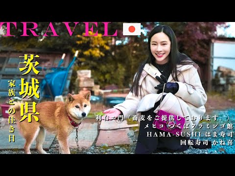 【日本🇯🇵茨城土浦旅行Ep.4】生日驚喜企劃🎂｜遛貓日常🐱｜必吃螃蟹料理🦀｜利右工門：蕎麥麵｜各價位迴轉壽司🍣｜戰利品開箱：刷具、襪子｜NinaWen Travel
