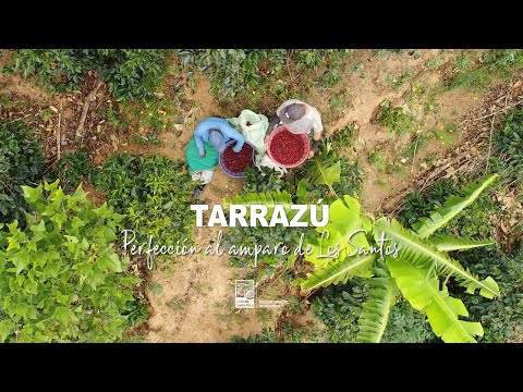 Tarrazú - Café de Costa Rica