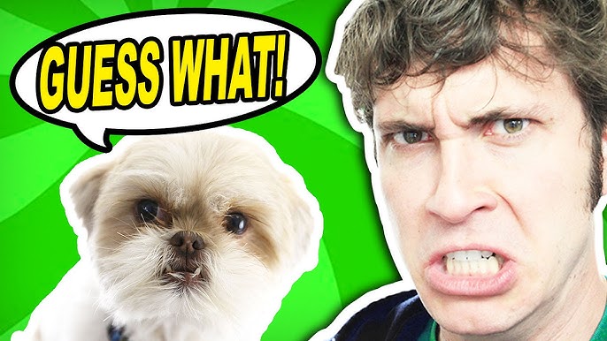 toby turner and gryphon