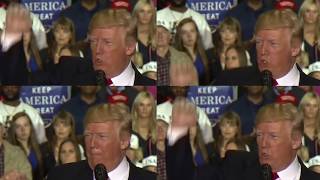 Trump, Remixed [