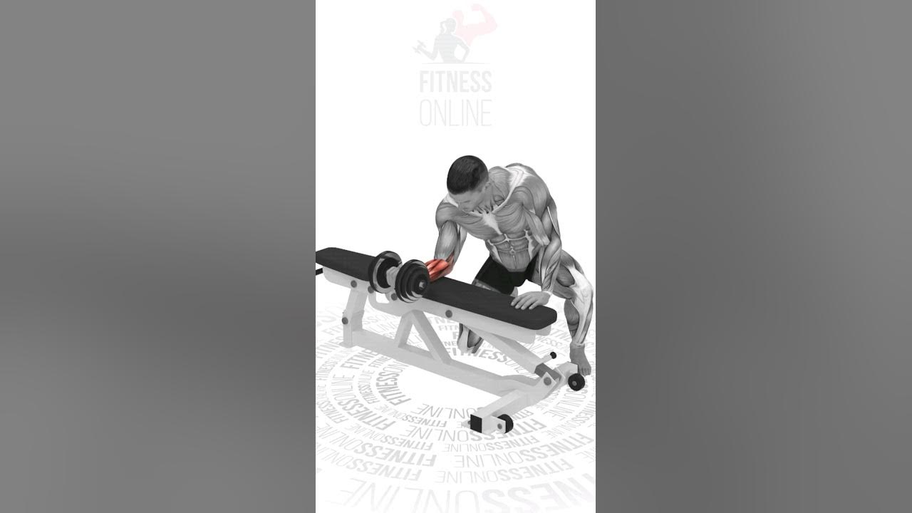 Сгибание запястий на скамье с гантелями/Bending the wrists on a bench ...