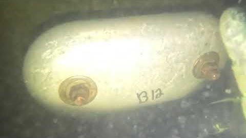 12 8 25 Unnamed SeaRay ZIZP