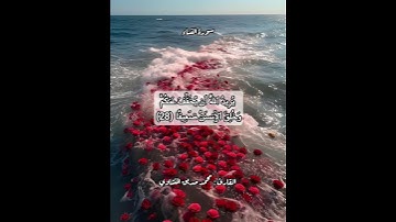 سورة النساء ٢٨ #قرآن #قرآن_كريم #قران #قران_كريم #قرأن #quran