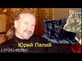 Юрий Палий группа&quot;МАКИ&quot;