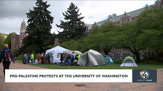 ProPalestinian protests at University of Washington