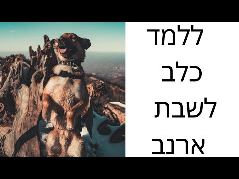 וִידֵאוֹ: 3 דרכים לרפא חתולים מעצירות