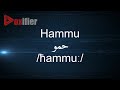 How to pronunce hammu  in arabic  voxifiercom