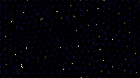 Particle Life Simulation - %s [1 Hour]