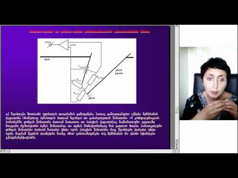 ნეირობიოლოგიის კვლევის თანამედროვე მეთოდები, ლექცია4, ნაწილი2, ეკა ლეფსვერიძე,  D005 2 05092