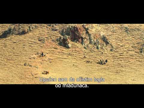 Wolf Totem / POSLEDNJI VUK trailer