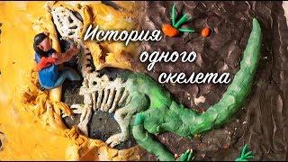 История одного скелета (мультфильм за 24 часа)