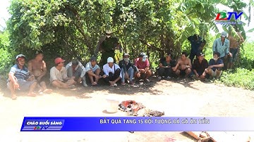 Bắt quả tang 15 đối tượng đá gà ăn tiền