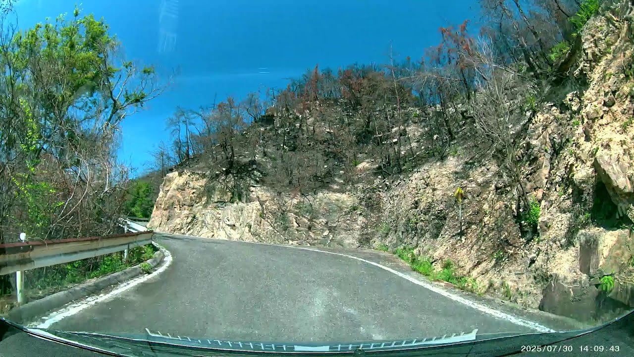 山火事後の貝殻山 岡山県道463号・長谷小串線