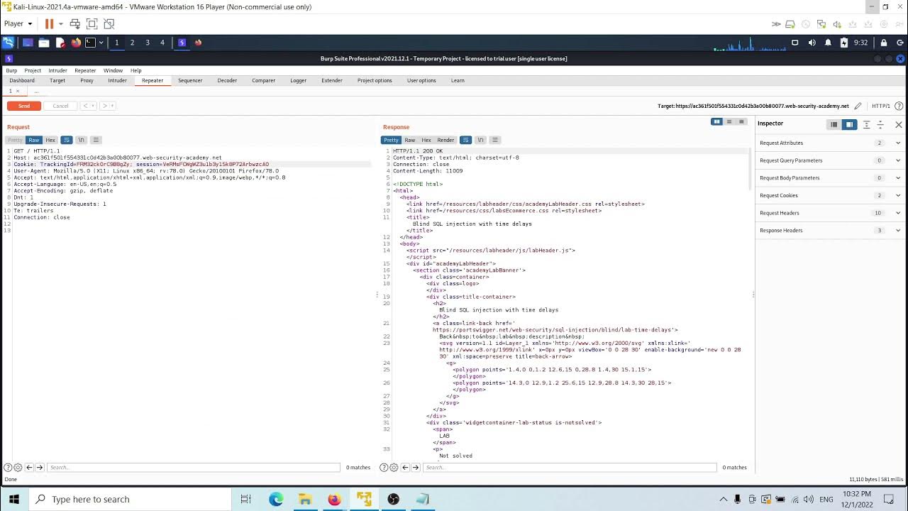 Lab: Blind SQL injection with time delays - YouTube