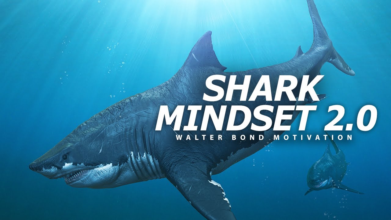 ⁣SHARK MINDSET - PART 2  | One of the Best Speeches Ever by Walter Bond