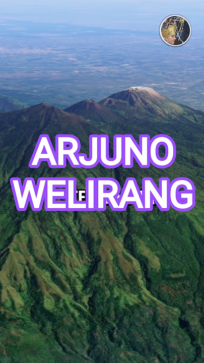 This is the Landscape of Mount Arjuno - Welirang, East Java #shorts #mountarjuno #mountwelirang #...