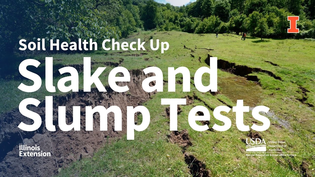 Soil Your Undies  Soil Health Check Up 