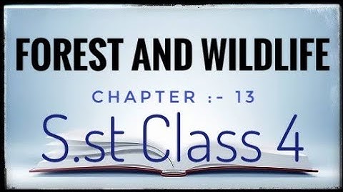 FOREST AND WILDLIFE || SST || (CH-13,Class-4)