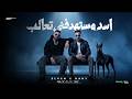اسد مستهدفني تعالب   راهنو علي وقوعنا   مصطفي الجن و هادي الصغير   توزيع امجد الجوكر حالتي