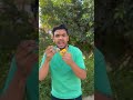 واووو بنانه واووو بنانه