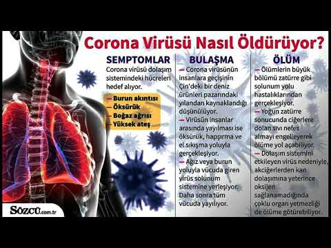 Corona virüsü Belirtileri nelerdir ve Tedavisi var mıdır?