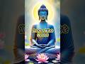 【ブッダの教え】富を得る秘訣とは!?#buddha #bussimulatorindonesia #buddhaquotes