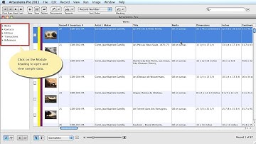 Artsystems Pro - Utilizing the Practice Sample Database