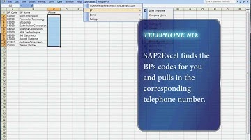 SAP2Excel - Excel SAP Business One Integration | BP Data