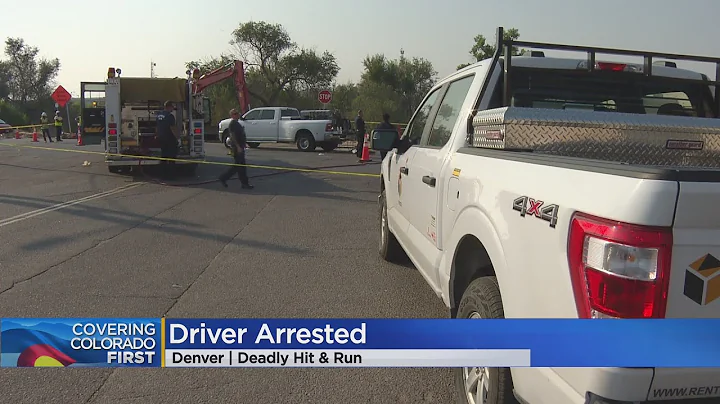 Police Arrest Suspect Driver Kathleen Sugaski In D...