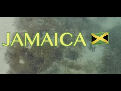 Video: Hur Kommer Reggaefestivalen På Jamaica