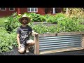 Beautiful DIY Metal Raised Garden Beds | Complete Guide
