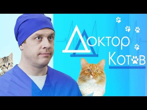 ПОЕДИНОК ЭКС-ВЛЮБЛЕННЫХ! ЛЮБОВЬ СМЕШИВАЕТСЯ С НЕНАВИСТЬЮ В ВОСХИТИТЕЛЬНЫЙ КОКТЕЙЛЬ! ДОКТОР КОТОВ