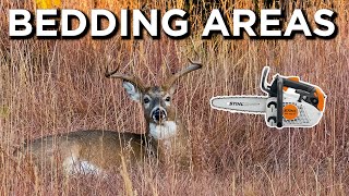 How To Create Ideal Whitetail Bedding Areas by Whitetail Properties 2,654 views 1 month ago 5 minutes, 45 seconds