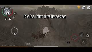 Heres how to get Points fast in Wolf Online 2