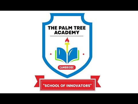 Palm Tree ACADEMY