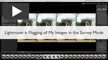 Lightroom is Flagging all my Images in the Survey Mode