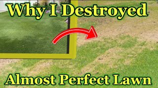 How I Leveled and Overseed 🌱 💯
